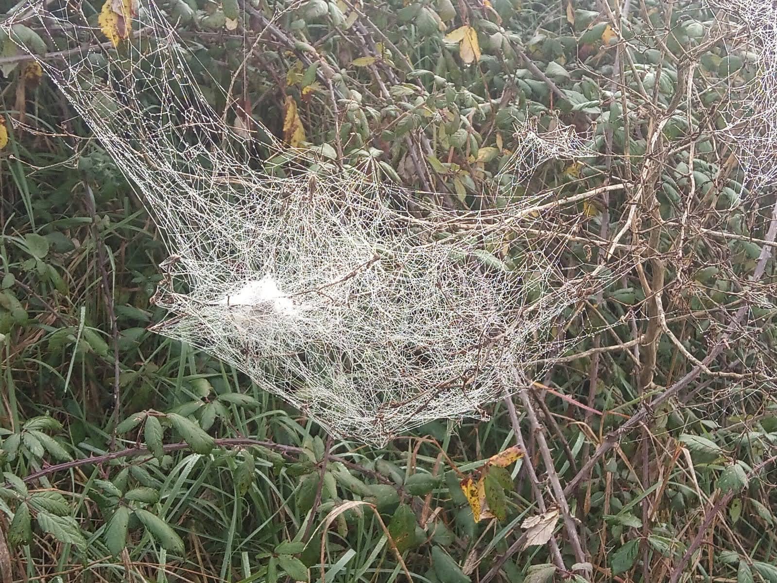 No s'ha trobat l'arxiu